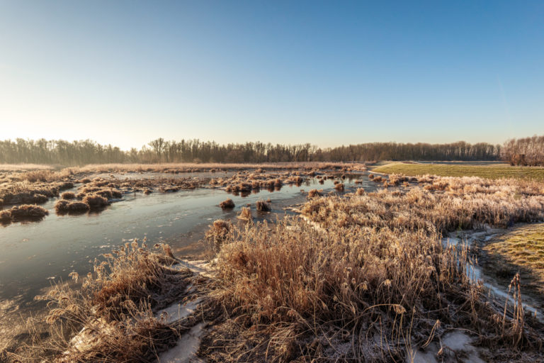Holland, Nationalpark de Biesbosch