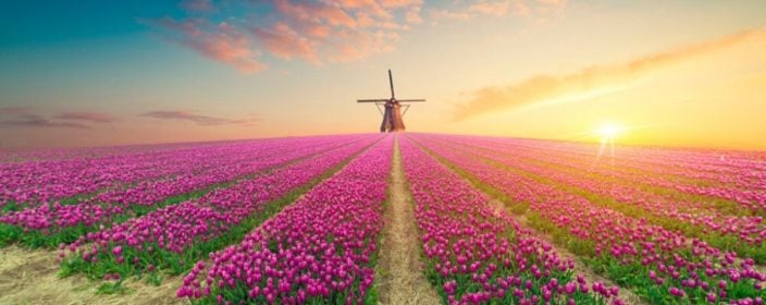 Holland, Niederlande