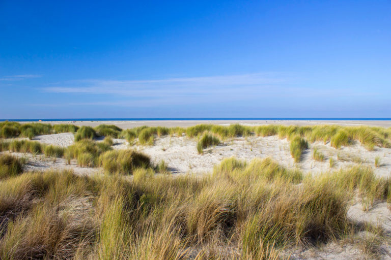 Auszeit in den Niederlanden Holland, Niederlande, Renesse