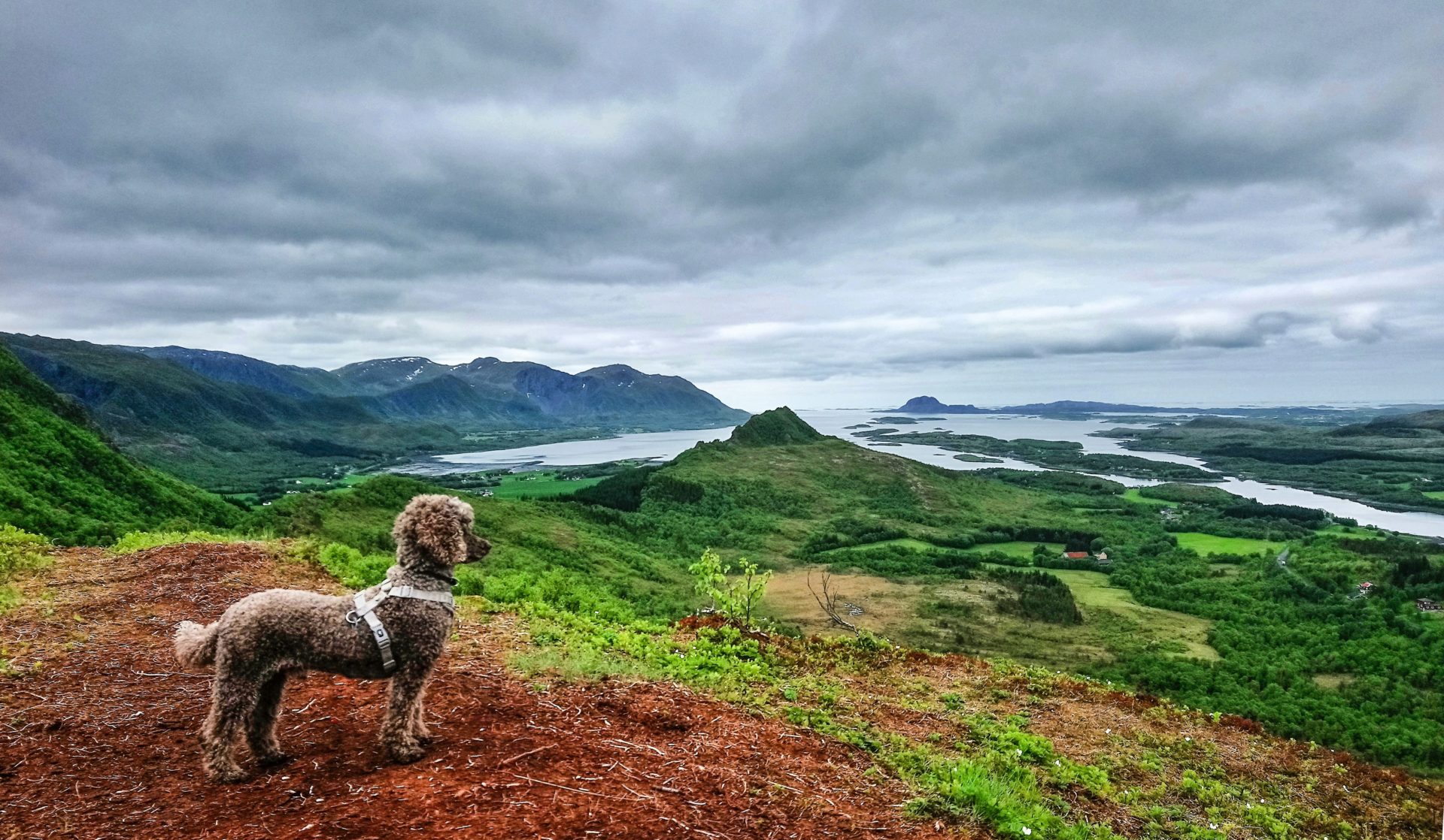 Norwegen Urlaub mit Hund