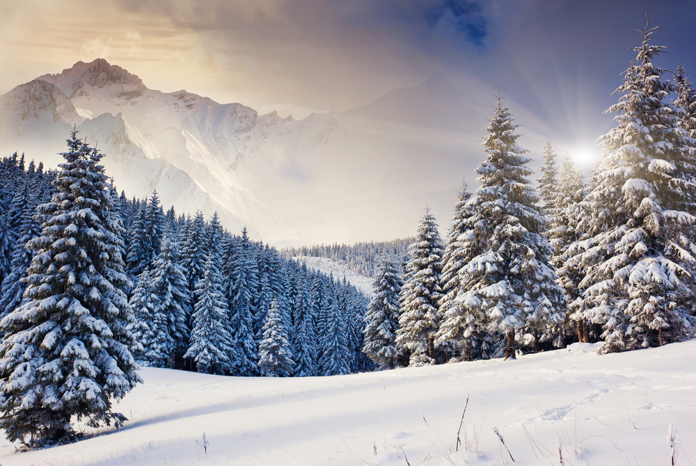 Schweiz, Ski, Winter