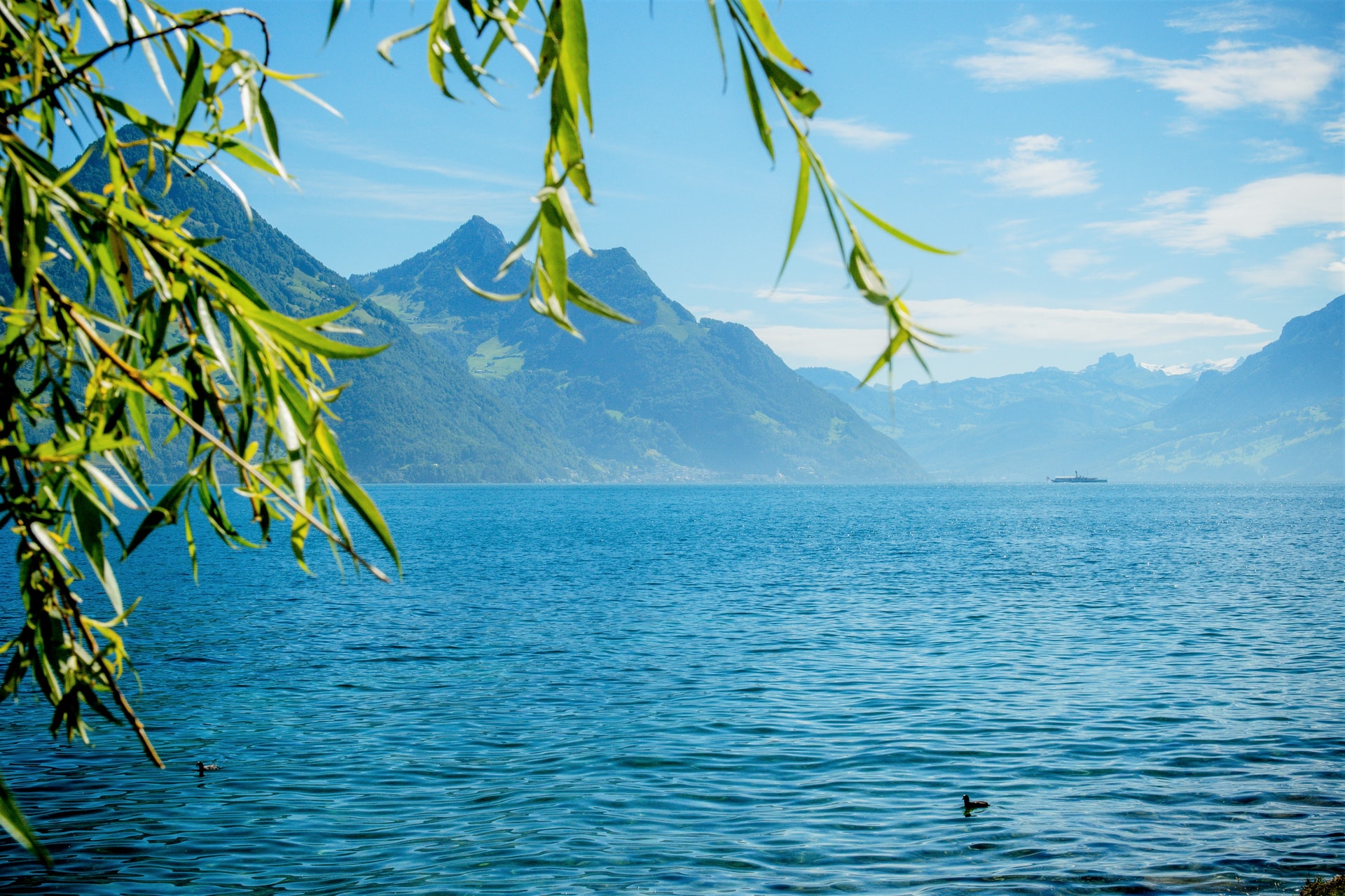 Schweiz, See, Vierwaldstättersee