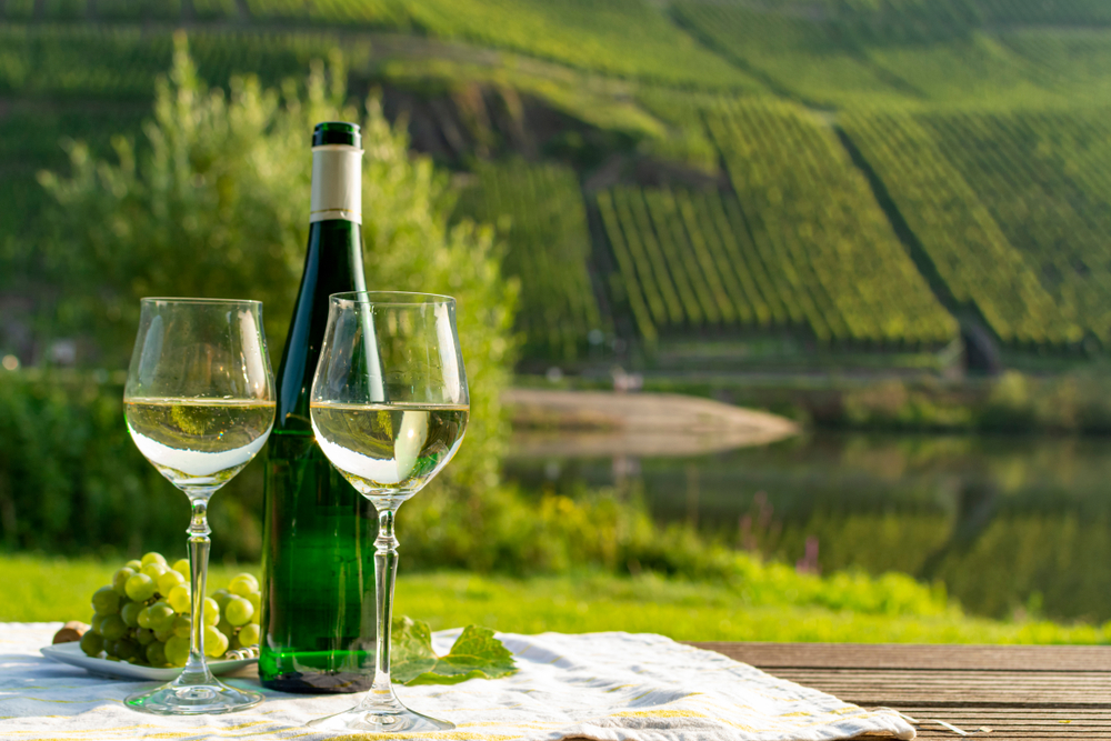 Weinberge und Weinprobe in der Moselregion