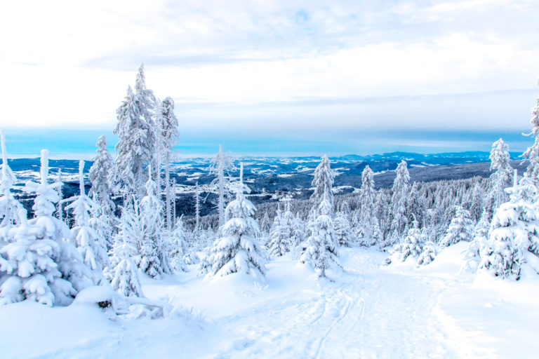 Winter, Bayerischer Wald