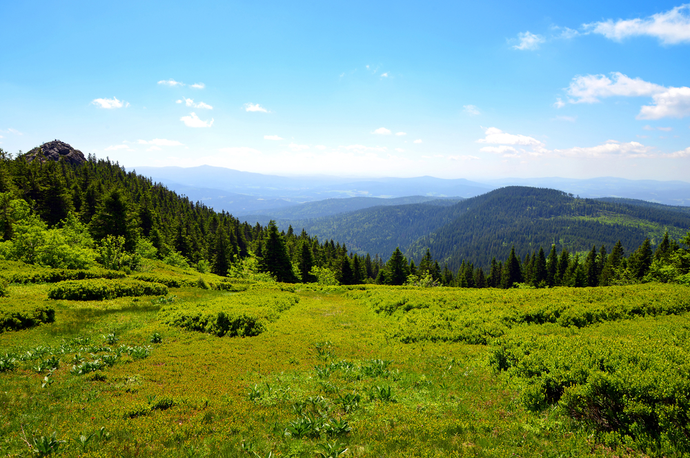 Großer Arber, Bayerischer Wald