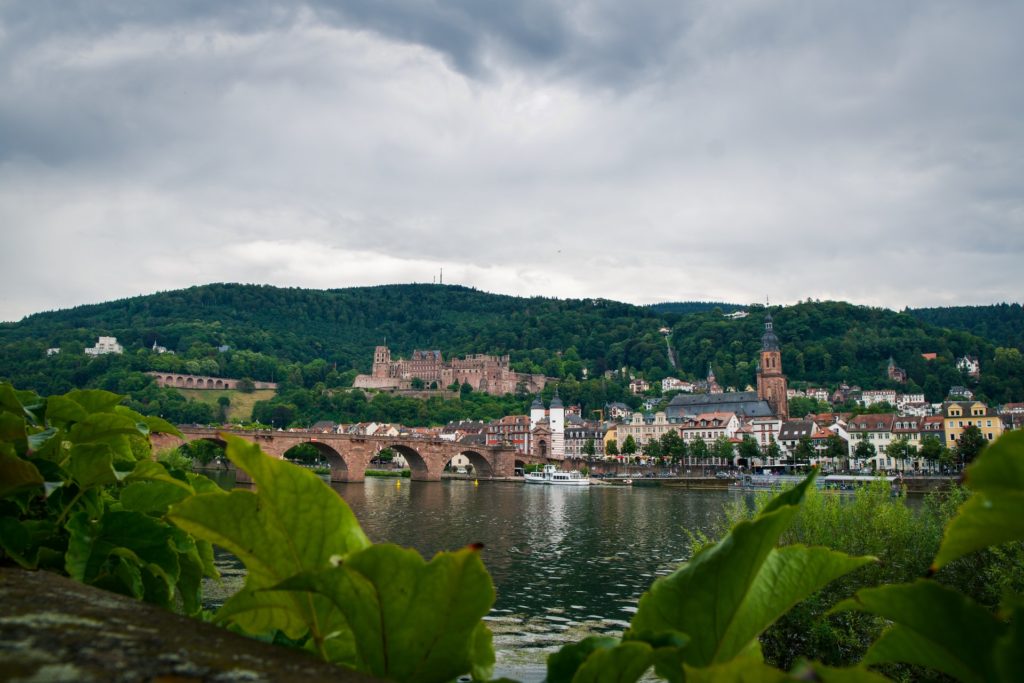 Heidelberg, Natur, Stadt