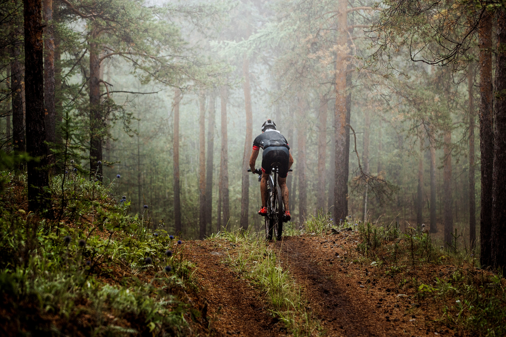 Wald, Mountainbike, Sport