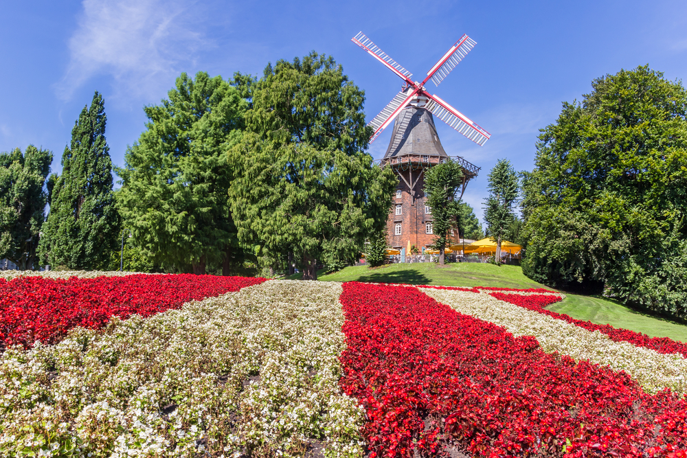 Blumenfeld vor Windmühle, Bremen