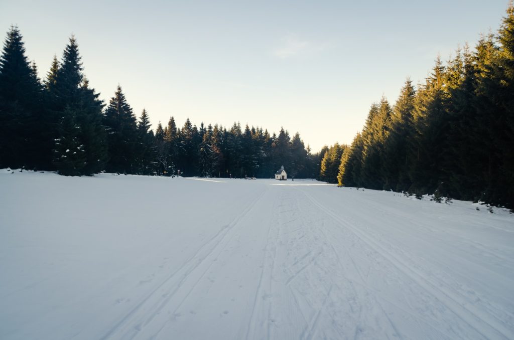 Deutschland, Sachsen, Winter, Erzgebirge