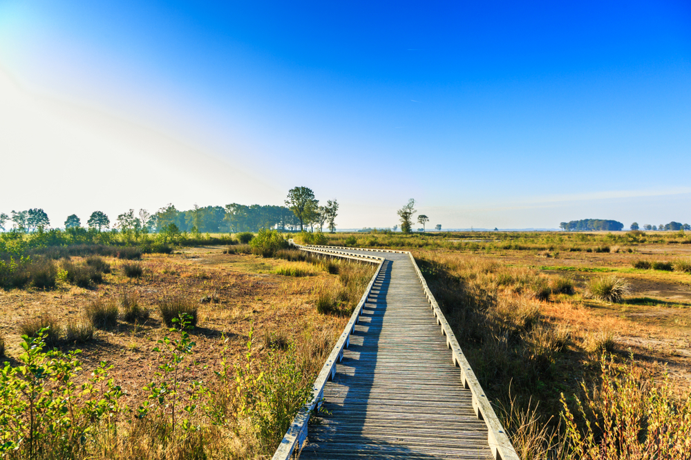 Los 8 mejores parques nacionales de los Países Bajos de un vistazo