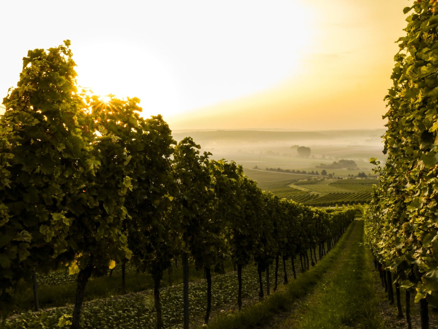 Rheinland-Pfalz - 13 Spannende Infos Für Einen Urlaub In Rheinland-Pfalz