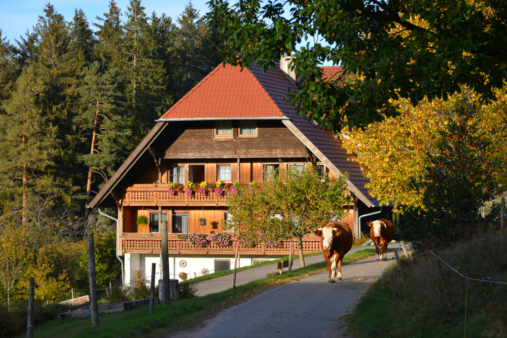 Traditionelles Schwarzwaldhaus in Baden-Württemberg