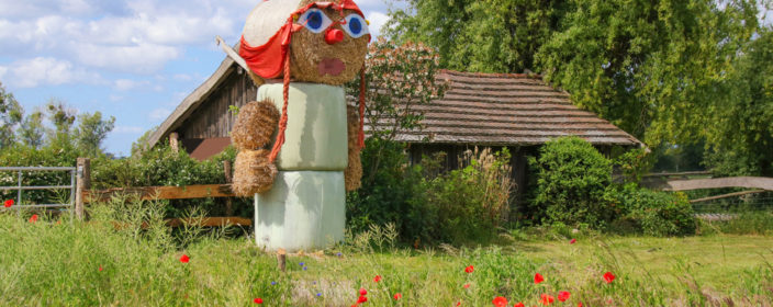 Bauernhof Urlaub in Brandenburg