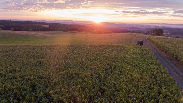 Sonnenuntergang im Saarland