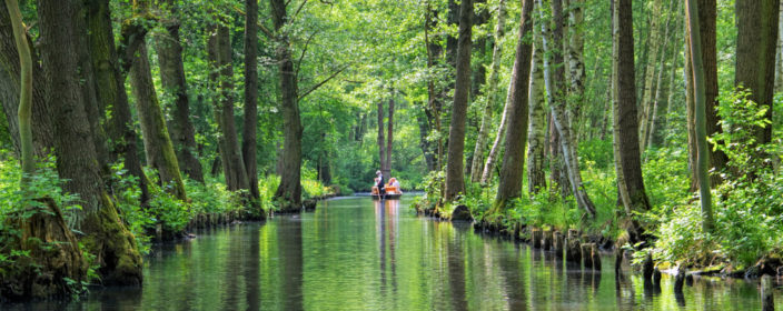 Fluss im Spreewald