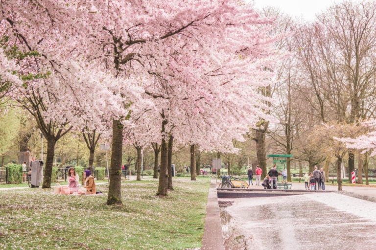 Niederlande, Amsterdam, Westerpark