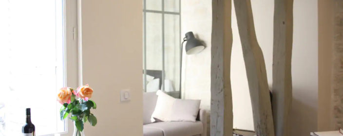 Haustierfreundliche Airbnb in Paris