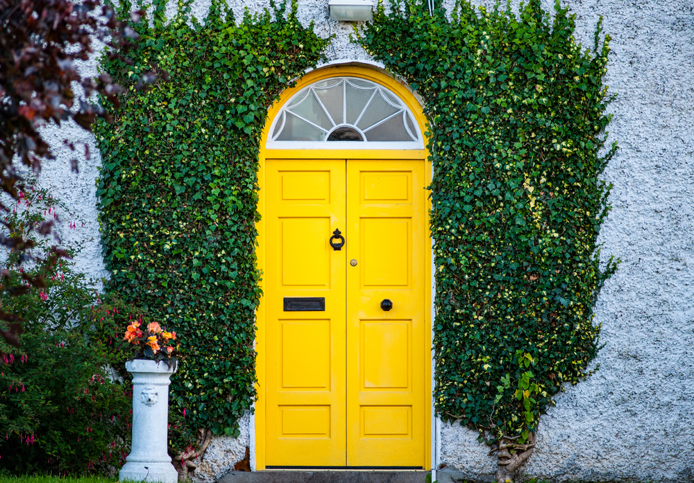 Gelbe georgianische Tür, Irland