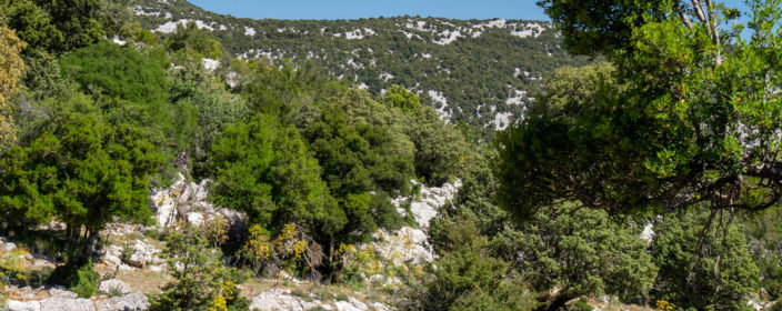 Italien, Sardinien, Wandern