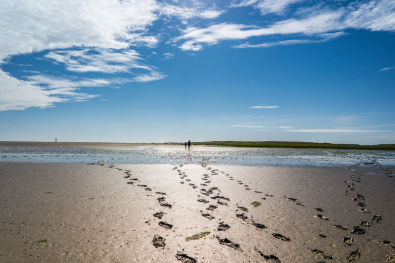 Sylt Tipps - Tolle Infos zu Stränden, Sehenswürdigkeiten & mehr  2024