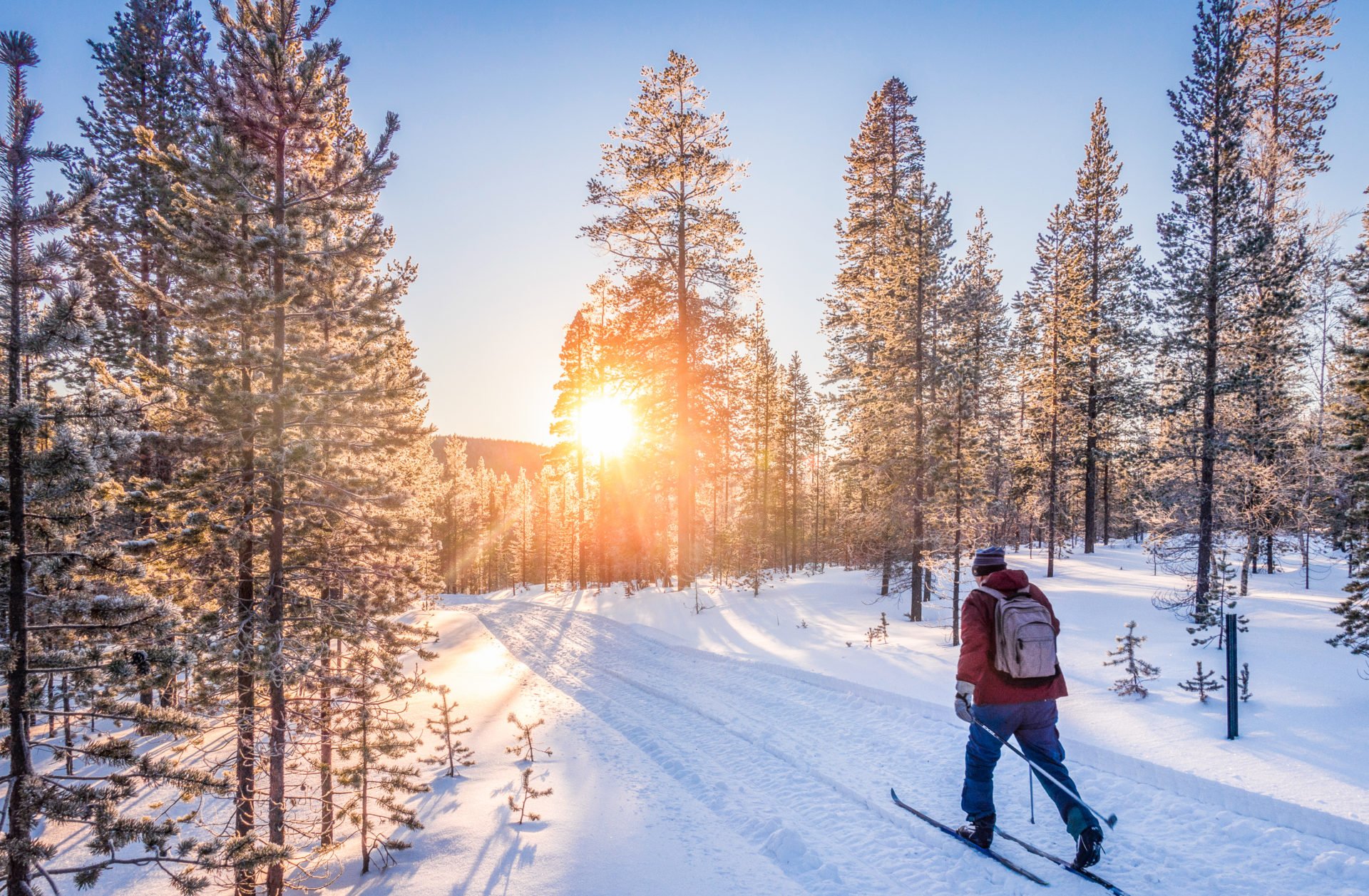 Skilanglauf in Schweden