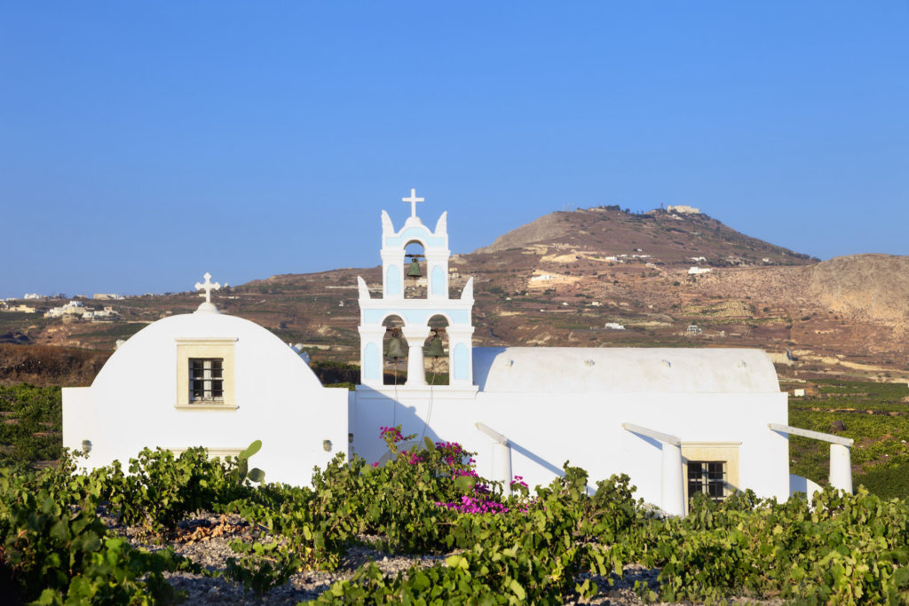 Griechenland, Santorini, Weinbau