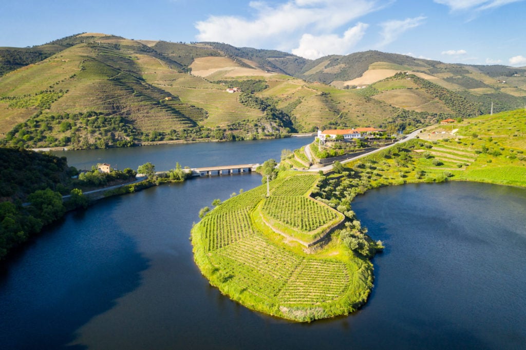 Portugal, Douro-Tal, Weinbau