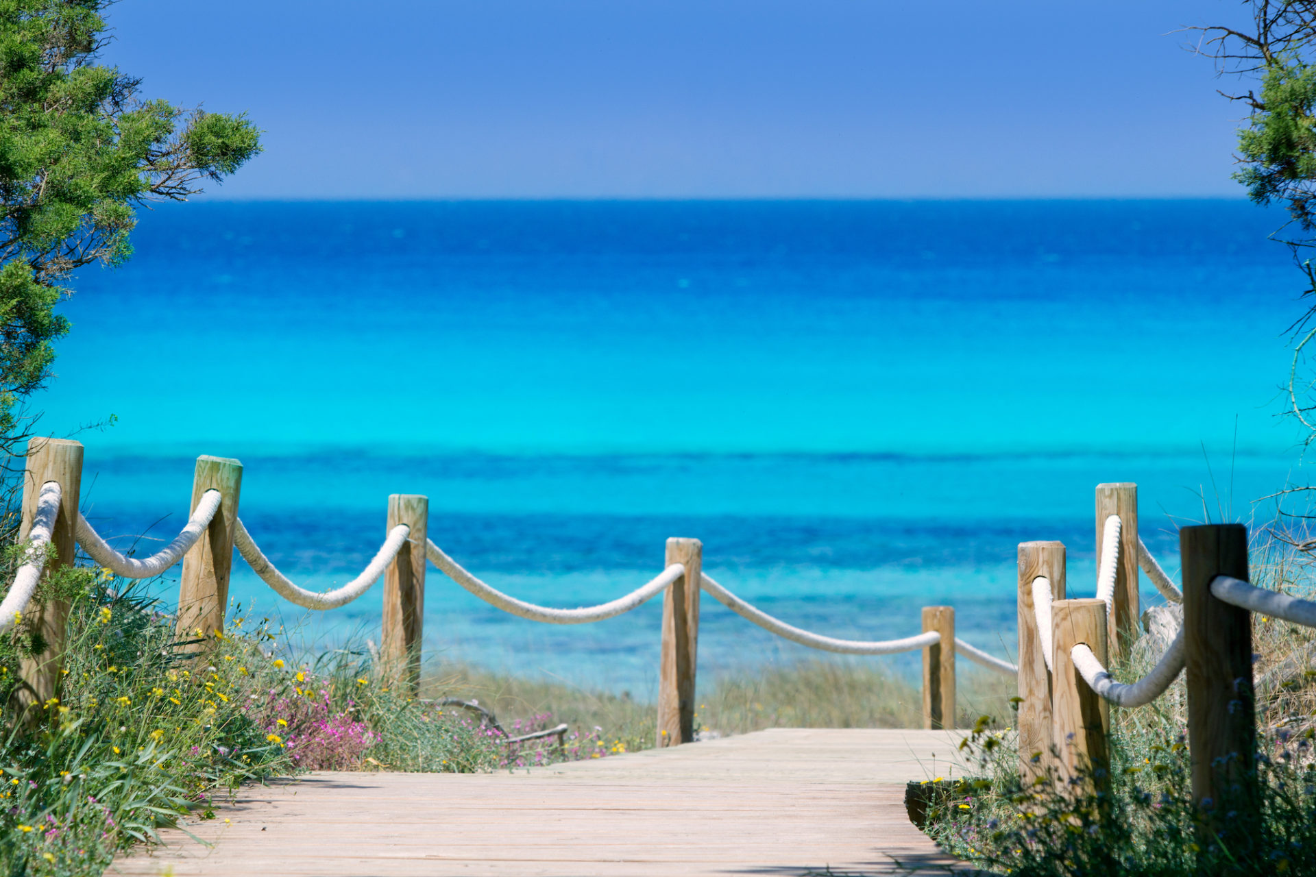Spanien, Formentera, Blick zum Meer