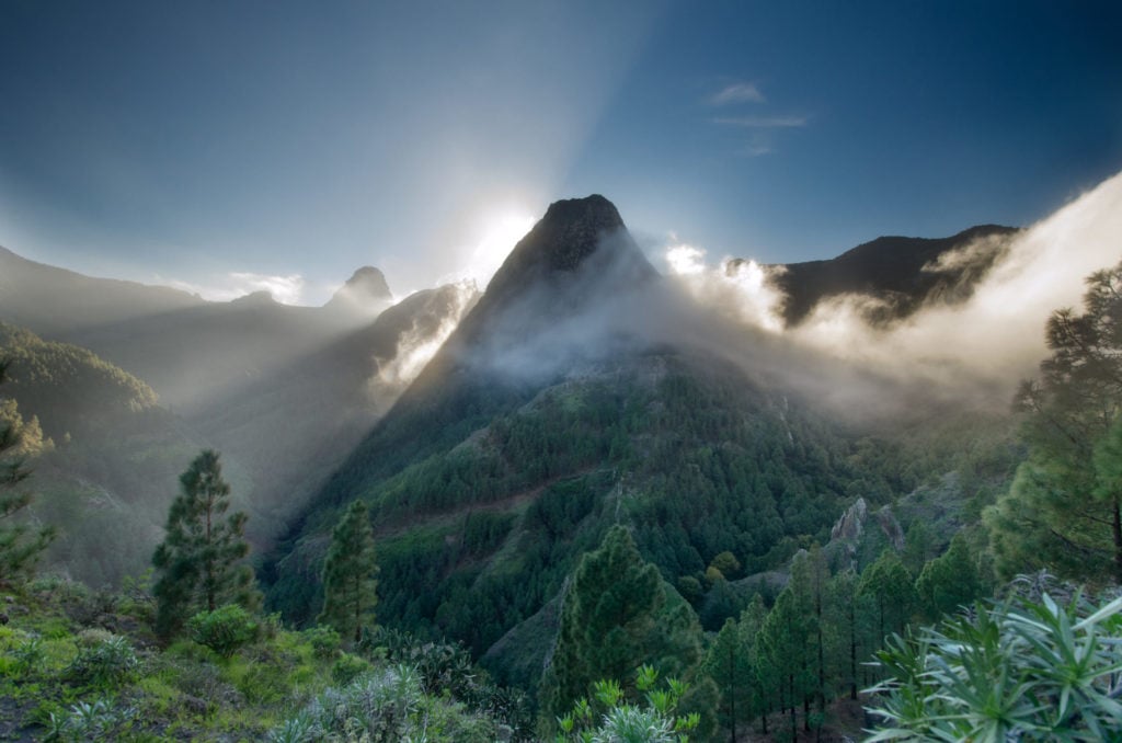 Spanien, La Gomera, Garajonay Nationalpark