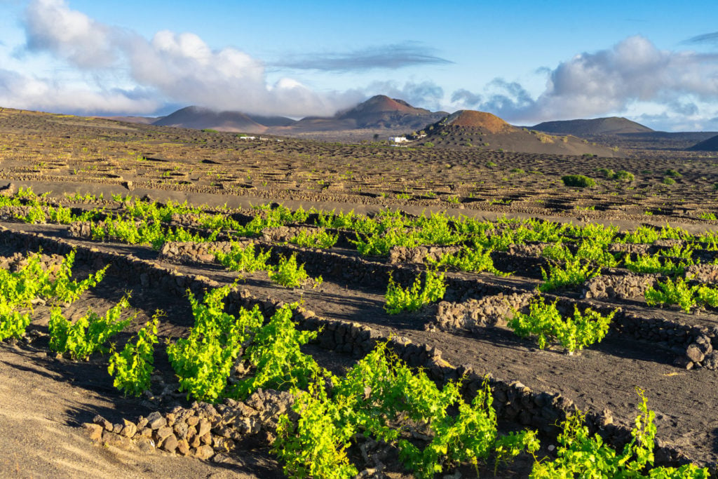 Spanien, Kanaren, Bergdorf, Landschaften