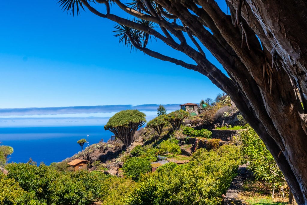 Spanien, Kanaren, La Palma, Las Tricias