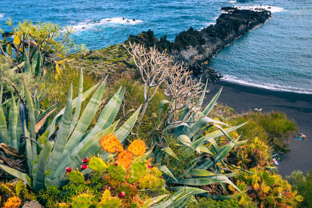 Spanien, Kanaren, La Palma, Los Canarios