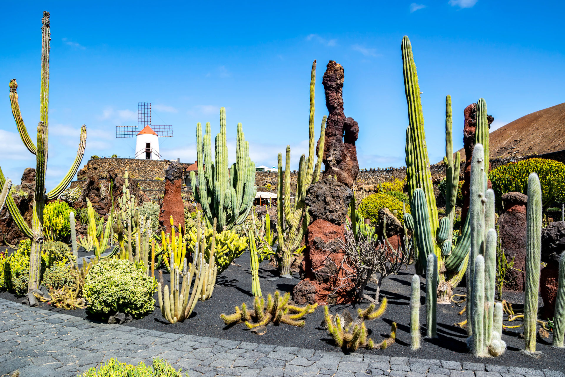 Spanien, Kanaren, Lanzarote, Kaktusgarten, Jardin de Cactus