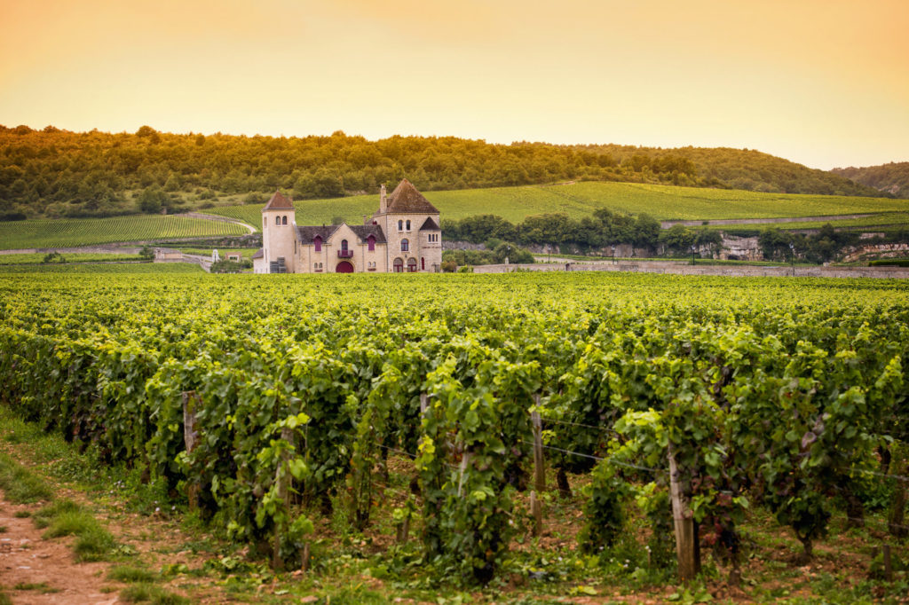 Burgund Tipps: 10 Infos zu Weingütern, Orten, Sehenswürdigkeiten