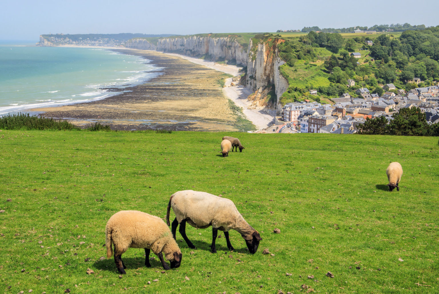 Normandie Tipps 10 Infos zu Ausflügen, Orten oder Sehenswertem