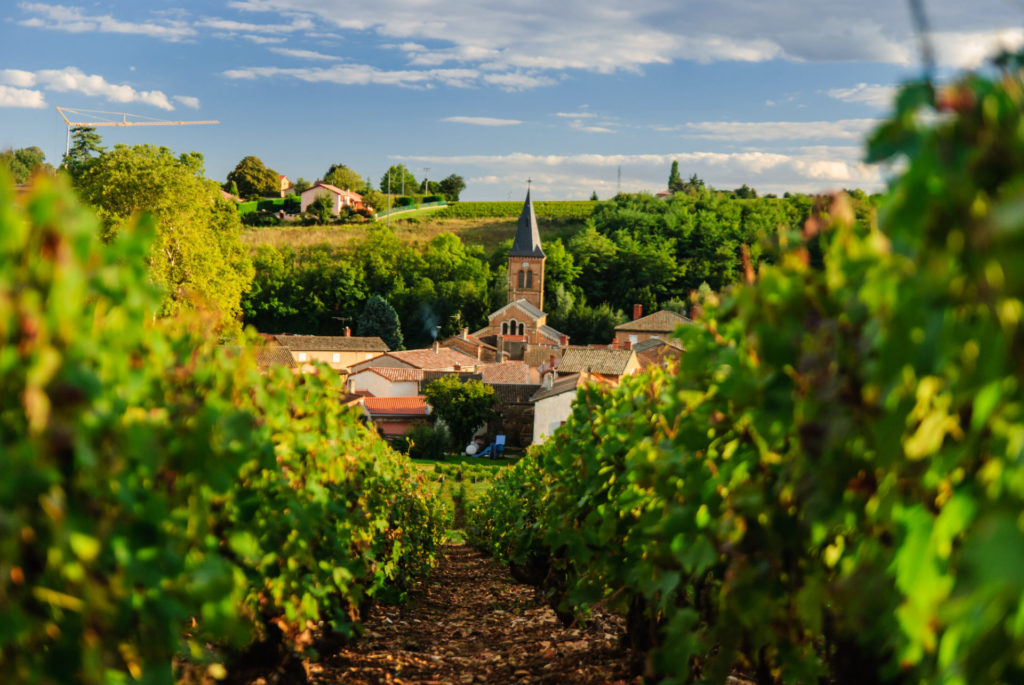 Frankreich, Lyon, Weingebiet Beaujolais