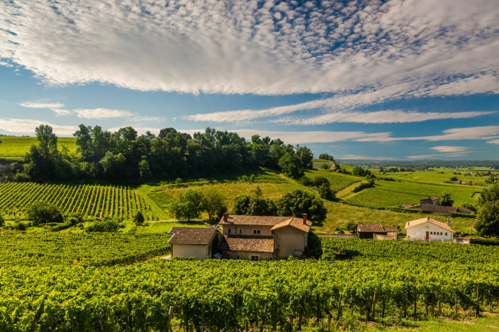 Frankreich, Weinbaugebiet Bordeaux