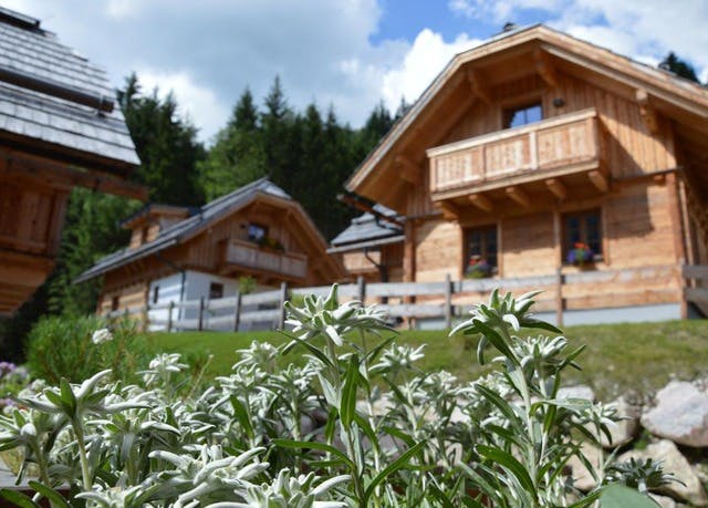 Alm Chalet mit Sauna 4 Tage schon für 45€ p.P.