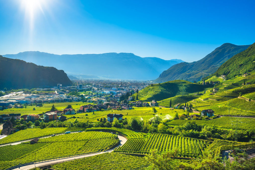 Italien, Südtirol, Weinberge bei Bozen