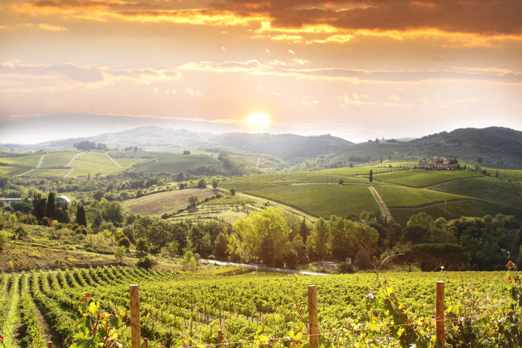 Italien, Toskana, Chianti-Gebiet, Weinberge