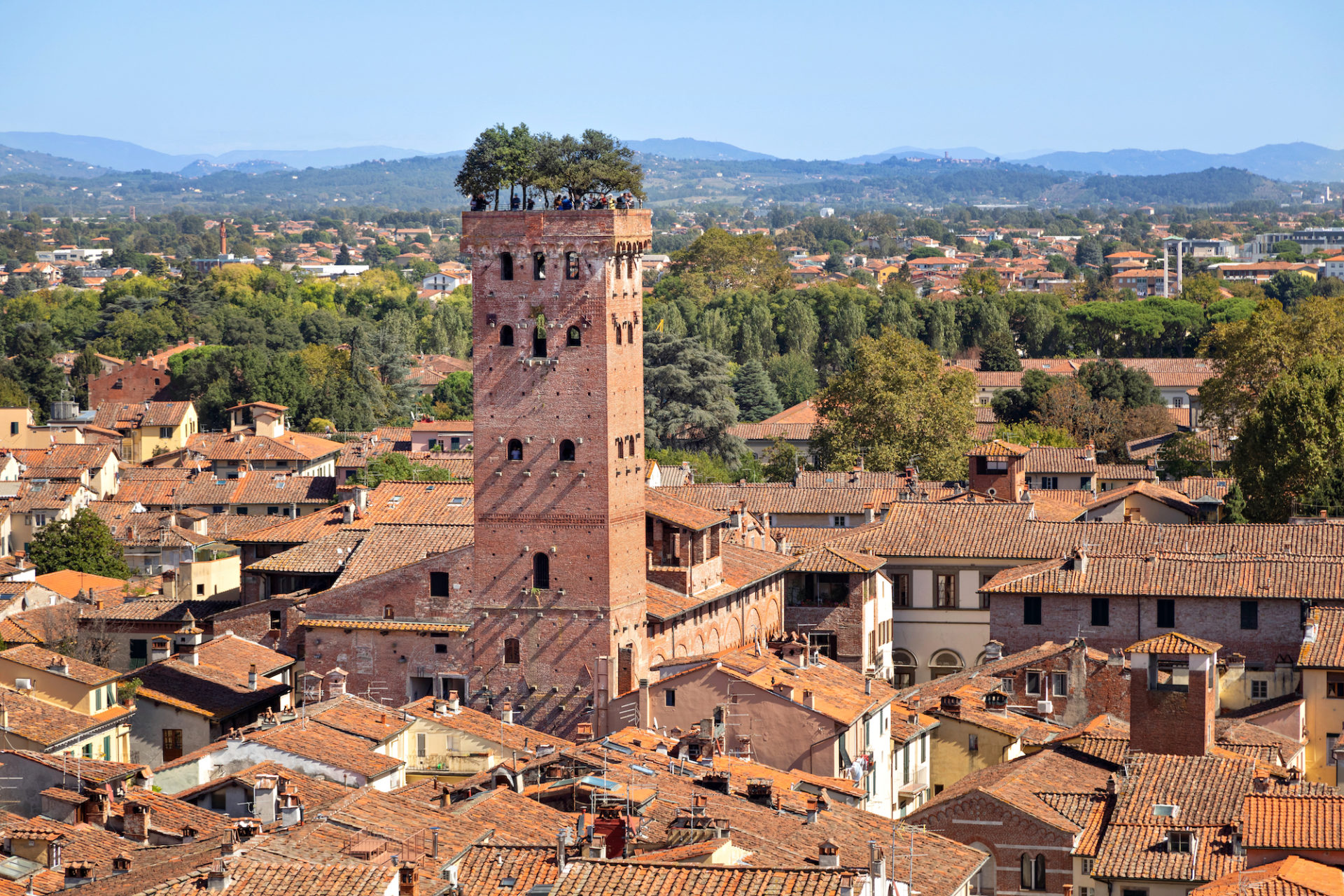 Italien, Toskana, Lucca, Guinigiturm