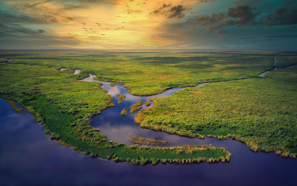 USA, Florida, Everglades