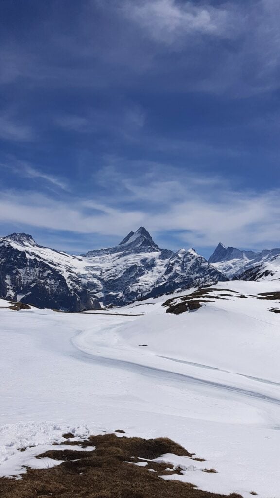 Schweiz, Grindelwald, Berg First, Bachalpsee