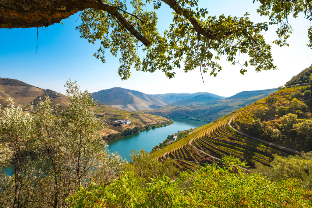 Portugal, Porto, Wein aus dem Douro-Tal