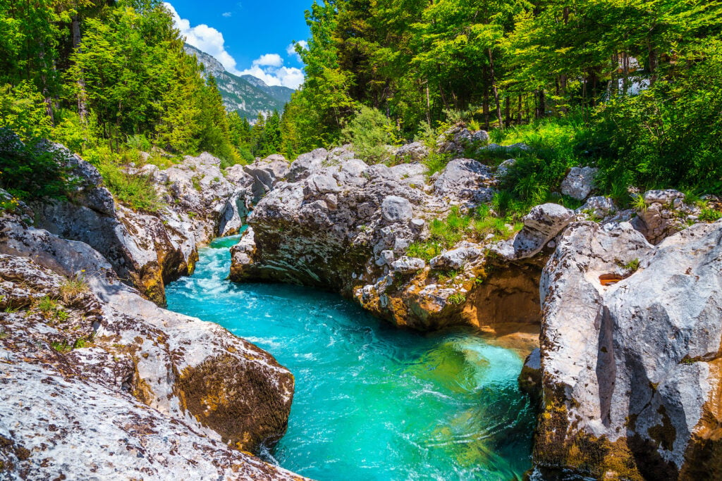 Slowenien, Fluss Soča, Natur