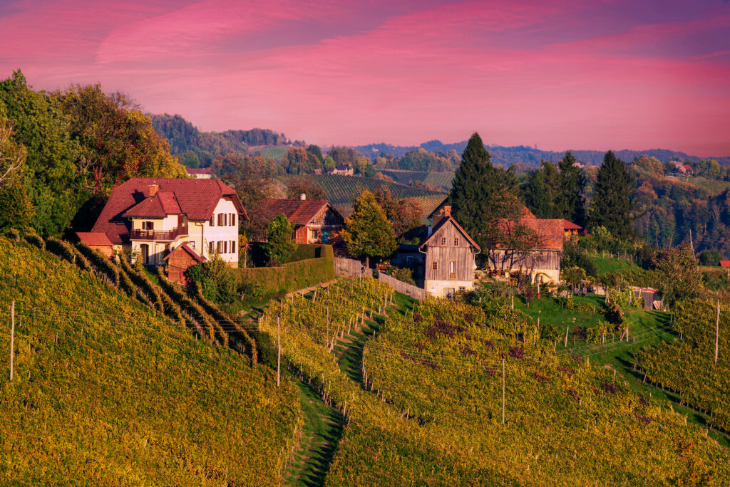 Slowenien, Weinbaugebiet Stajerska