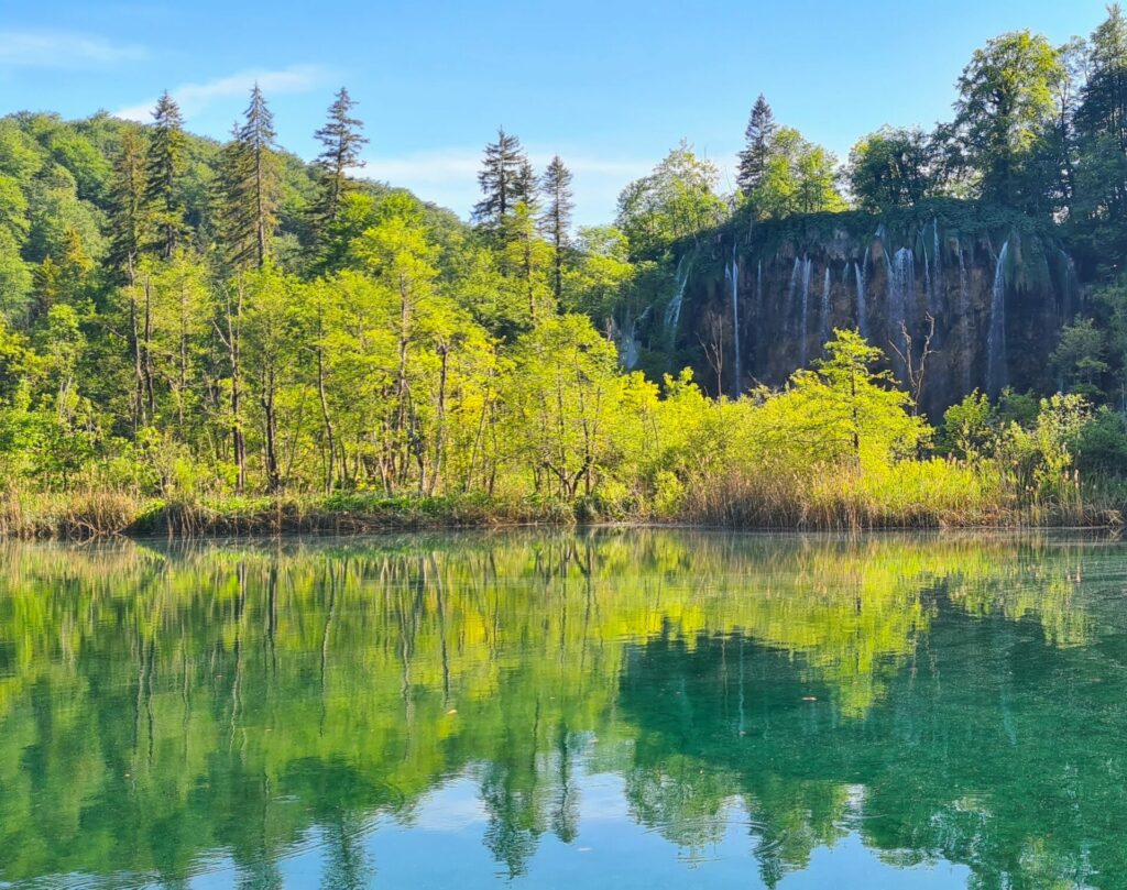 Der Wald neben den Plitvicer Seen