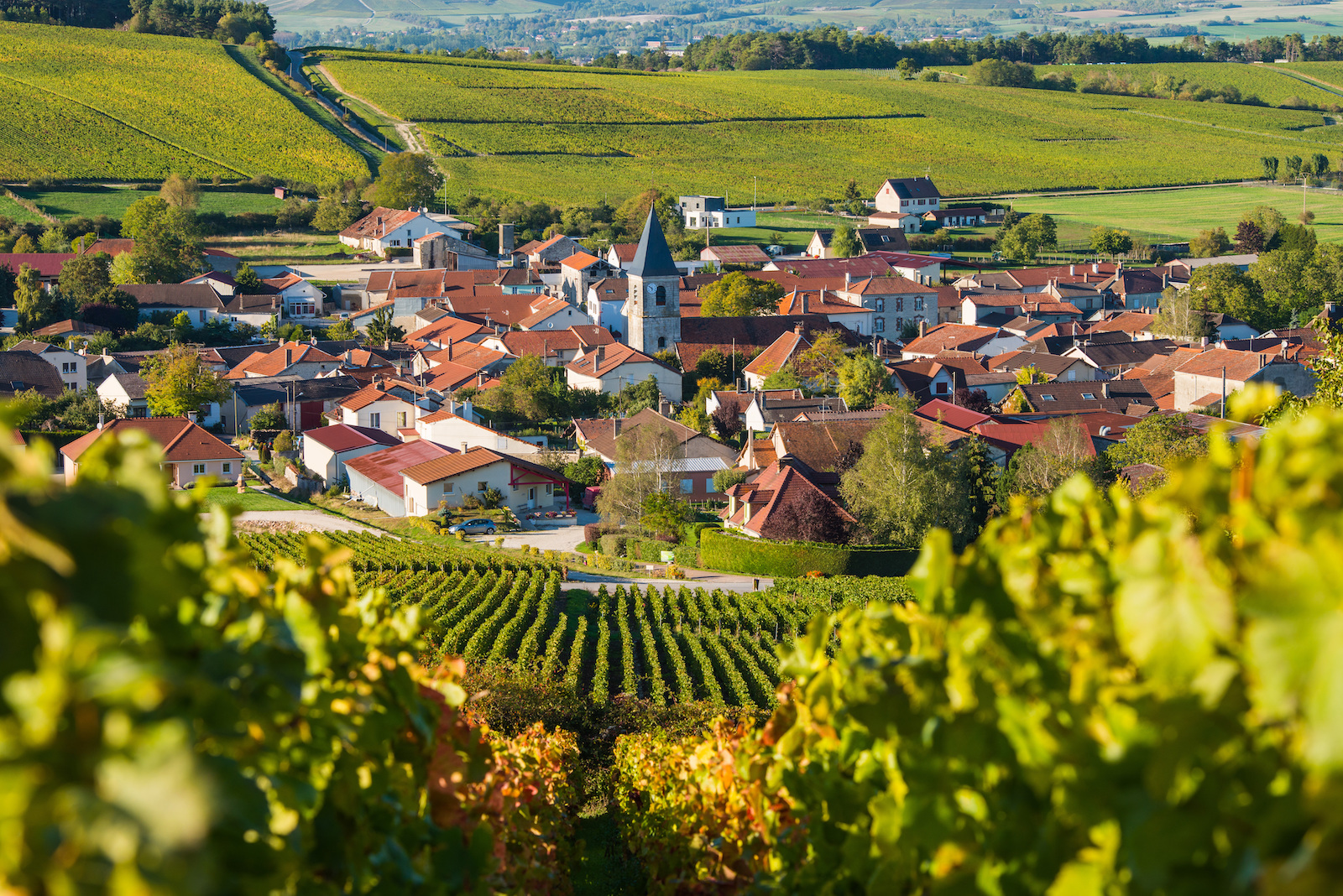 Champagne Tipps 10 Infos zu Orten, Weingütern und Aktivitäten