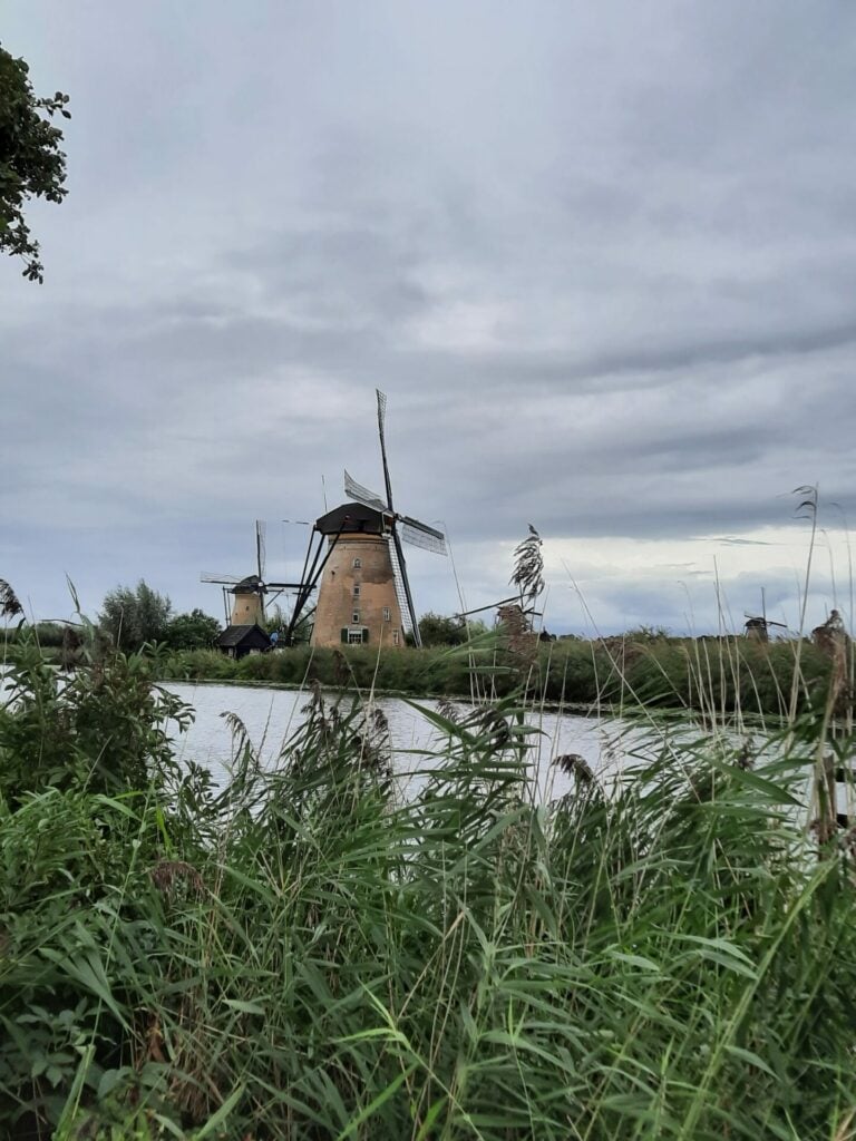 Ausflug ab Rotterdam Kinderdijk