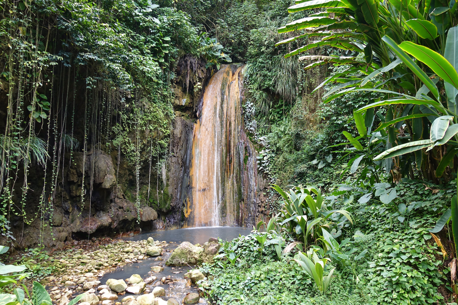 Karibik, St. Lucia, Diamond Botanical Gardens